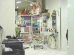 Salon Dobrindt